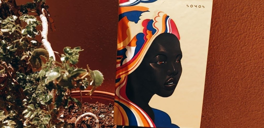 livros, autoras, negras