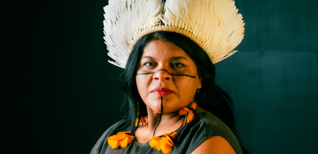 Ministério dos Povos Indígenas, Sônia Guajajara, Indígena