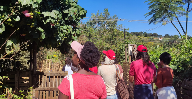 mulher olha para árvore