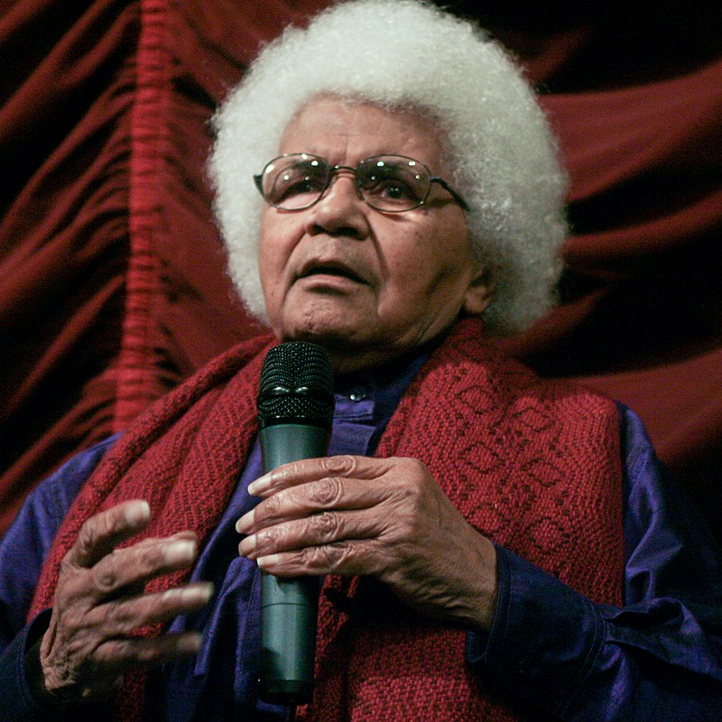 mulher negra com black power