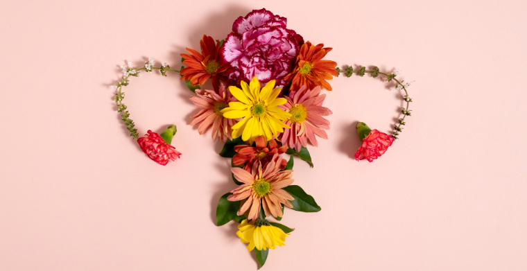 Postura plana do sistema reprodutivo feminino