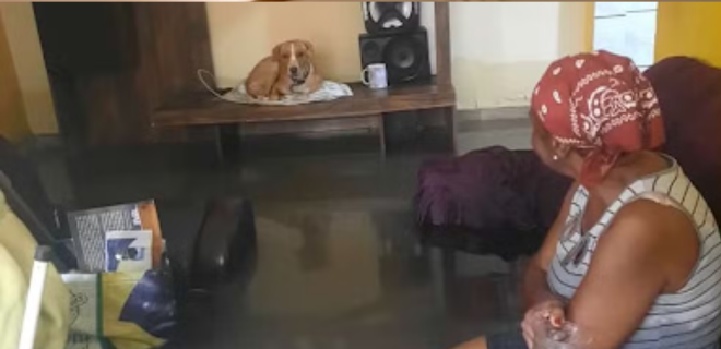 Foto mostra mulher com sua casa alagada por causa das chuvas e dos eventos climáticos extremos