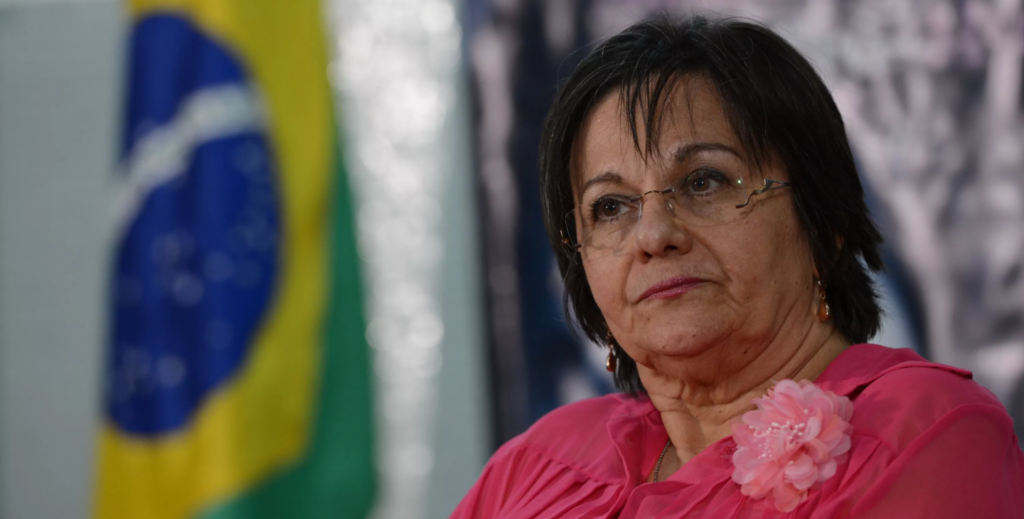 Maria da Penha vestida de rosa, com bandeira do Brasil ao fundo