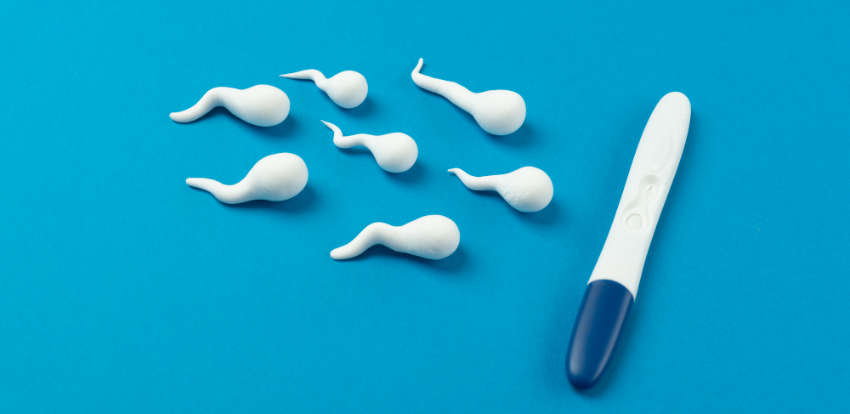 espermatozoides e teste de gravidez