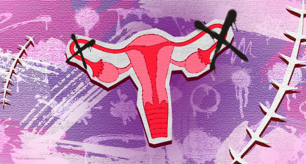 arte com imagem de útero