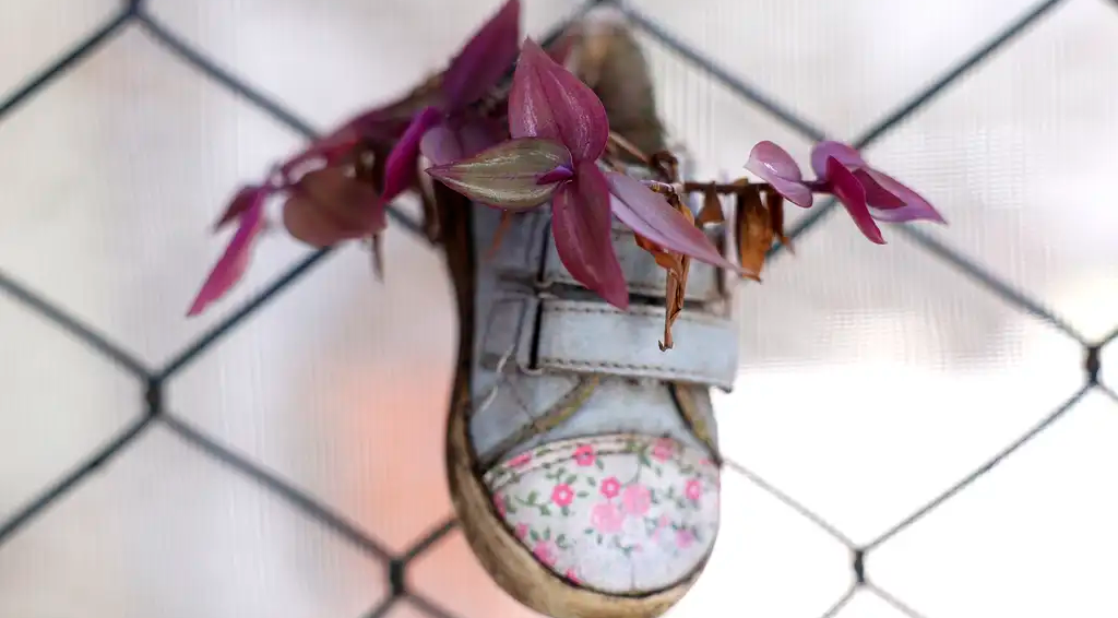 Rio de Janeiro (RJ), 15/08/2024 - Espaço de Desenvolvimento Infantil(EDI) Claudio Cavalcanti, em Botafogo.